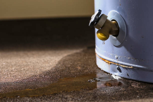Best Emergency water damage restoration  in Trenton, MI