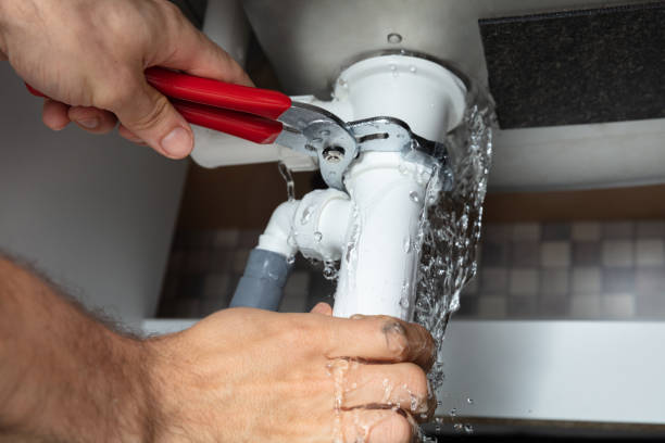 Best Basement water damage restoration  in Trenton, MI