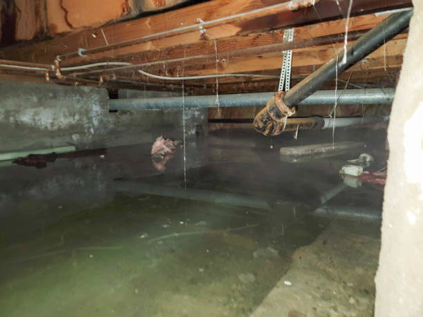 Trenton, MI Water damage restoration Company