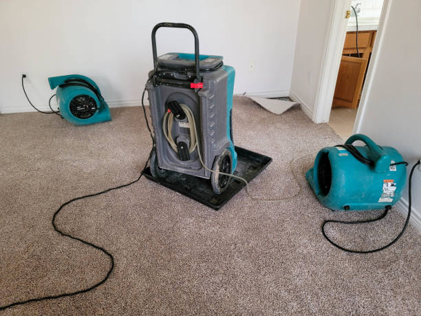 Trenton, MI Water damage restoration Company