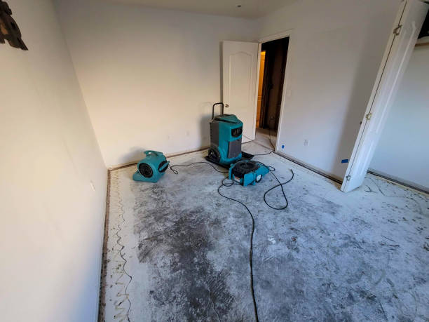 Best Flooded house restoration  in Trenton, MI