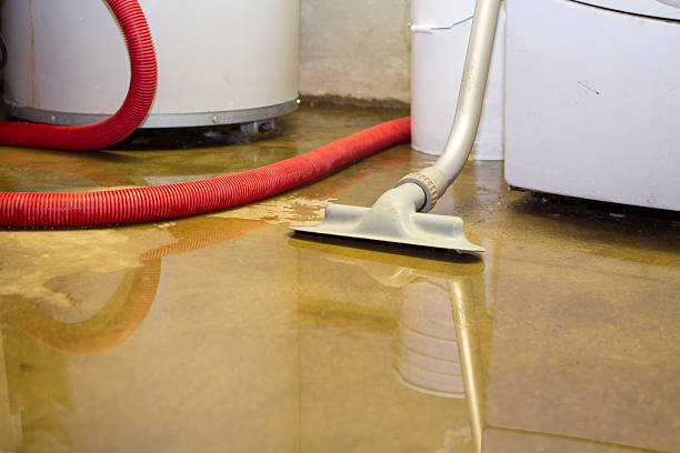 Best Residential water damage restoration  in Trenton, MI