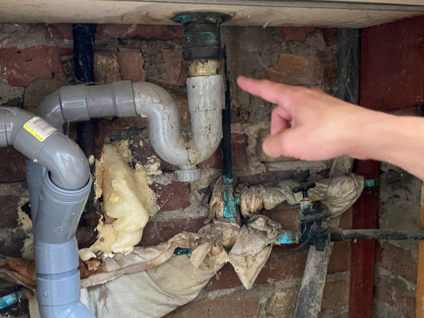 Water damage restoration insurance claims in Trenton, MI