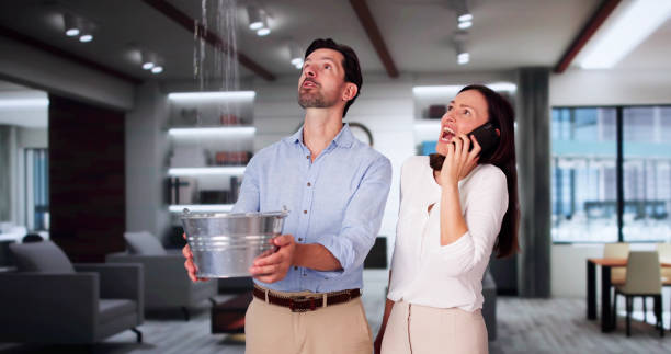 Best Local water damage restoration  in Trenton, MI