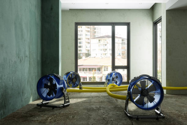 Best 24/7 water damage repair  in Trenton, MI