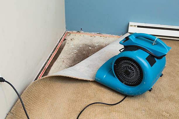 Best Commercial water damage restoration  in Trenton, MI
